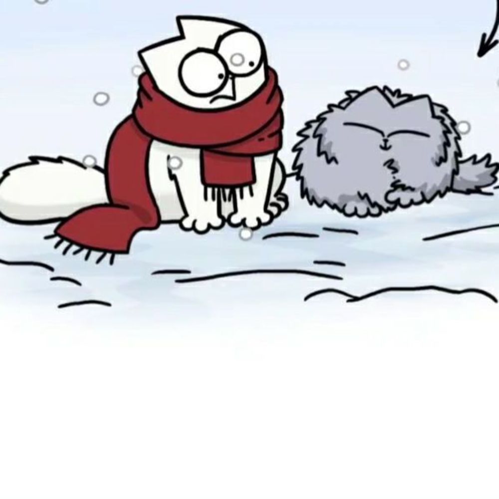 Meet your Posher, Salam